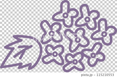 Hand-drawn illustration of hydrangea 115210553