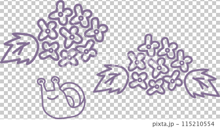 Hydrangea and snail hand-drawn illustration set 115210554