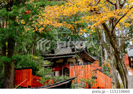 京都府長岡京市　西山　楊谷寺 (柳谷観音)　奥之院　眼力稲荷　紅葉 115210660
