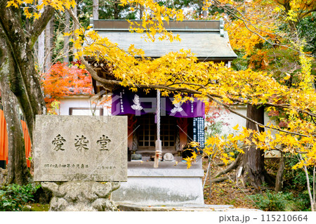 京都府長岡京市 西山 楊谷寺 (柳谷観音) 奥之院 愛染堂 紅葉 京都府長岡京市 西山 楊谷寺 (柳谷観音) 奥之院 愛染堂 紅葉 115210664
