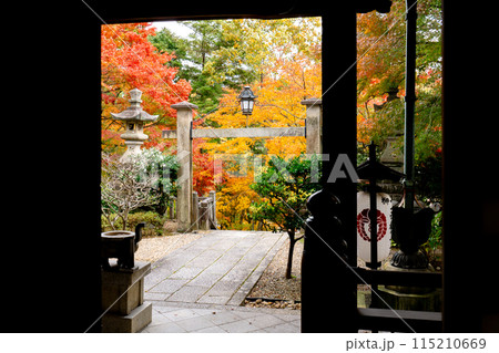 京都府長岡京市　西山　楊谷寺 (柳谷観音)　奥之院　紅葉 115210669