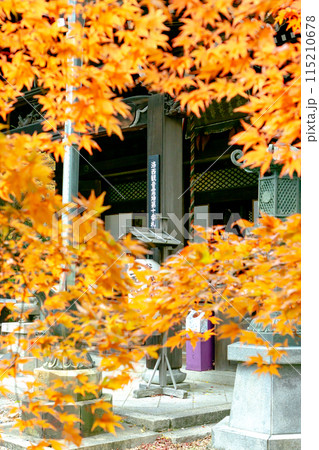 京都府長岡京市　西山　楊谷寺 (柳谷観音)　奥之院　紅葉 115210678