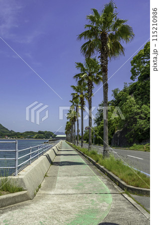 生口島　サンセットビーチ近くのサイクリングロード　広島県尾道市 115210986
