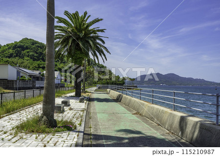 生口島　サンセットビーチ近くのサイクリングロード　広島県尾道市 115210987