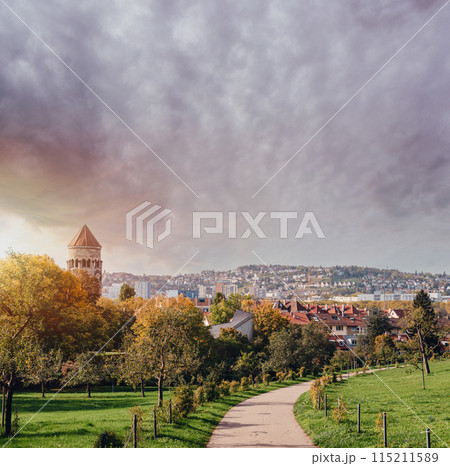 Germany, Stuttgart panorama view. Beautiful houses in autumn, Sky and nature landscape. Vineyards in Stuttgart - colorful wine growing region in the south of Germany with view over Neckar Valley 115211589