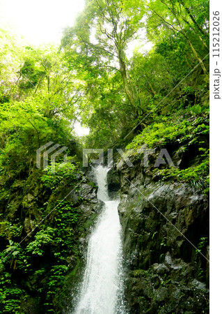 Shiokawa Falls塩川滝　流れる滝 115212026