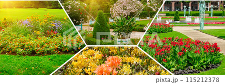 Flowerbeds in gardens and parks. Collage. Flowerbeds in gardens and parks. Collage. 115212378