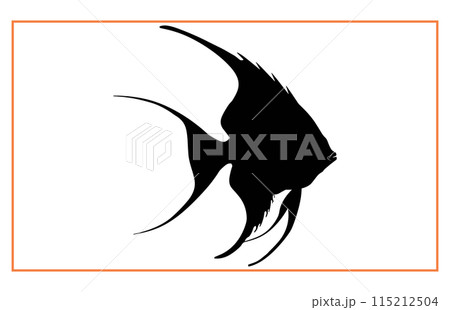 Black Angel Fish Silhouette, black silhouette of a Angelfish illustration clip art Black Angel Fish Silhouette, black silhouette of a Angelfish illustration clip art 115212504