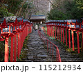 貴船神社の灯篭階段 115212934