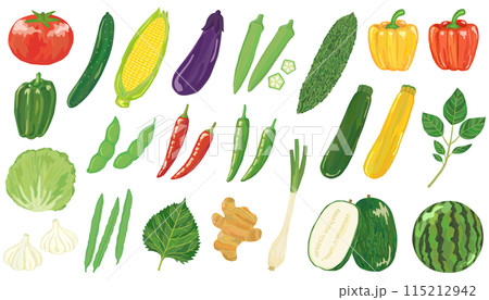 夏野菜のイラストセット ベクター素材 夏野菜のイラストセット ベクター素材 115212942