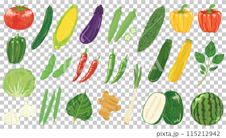 夏野菜のイラストセット ベクター素材 夏野菜のイラストセット ベクター素材 115212942