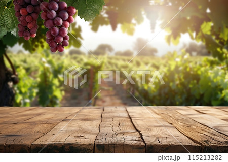 Empty wooden table counter desk with blurred agricultural field background. Copy space for your promo, text, logo brand. Wood plank board, vineyard farming view. Blank tabletop, blur growing grape row 115213282