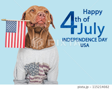 Happy Independence Day. American Flag and cute dog Happy Independence Day. American Flag and cute dog 115214082