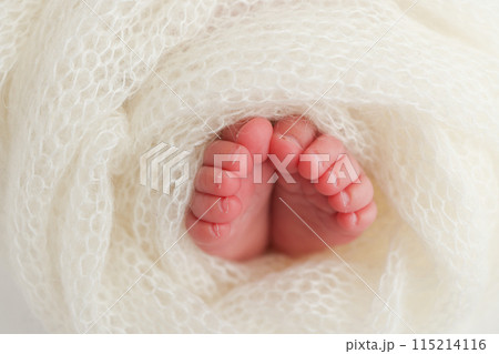 The tiny foot of a newborn baby. Soft feet of a new born in a wool white blanket. Close up of toes, heels and feet of a newborn. Macro photography. 115214116