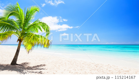 Beautiful tropical white sand beach and coconut palm tree in Punta Cana, Dominican Republic. Beautiful tropical white sand beach and coconut palm tree in Punta Cana, Dominican Republic. 115214167