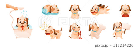 Cute Dog with Collar as Domestic Pet Engaged in Different Activity Vector Set 115214226