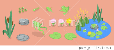 3D Isometric Flat Vector Set of Cartoon Frogs, Toad Life Cycle 3D Isometric Flat Vector Set of Cartoon Frogs, Toad Life Cycle 115214704