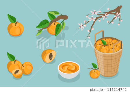 3D Isometric Flat Vector Set of Apricots and Elements, Farm Products 3D Isometric Flat Vector Set of Apricots and Elements, Farm Products 115214742