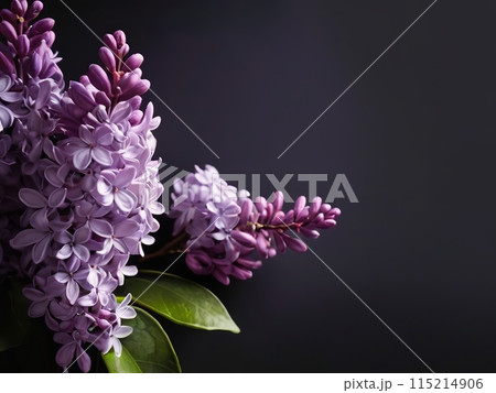 Purple lilac flowers background. Flat lay, top view aith empty copy space for text 115214906