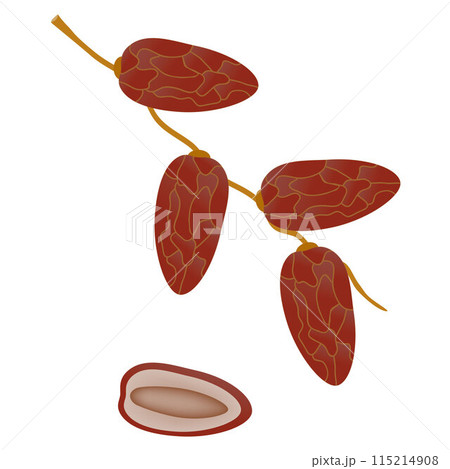 Dates fruit on a branch isolated on white background. 115214908