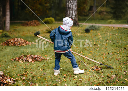 A little boy rakes fallen leaves in the backyard. Back view. 115214953