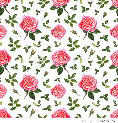 Seamless pattern with flowers and leaves. Floral pattern for wallpaper or fabric. 115215173