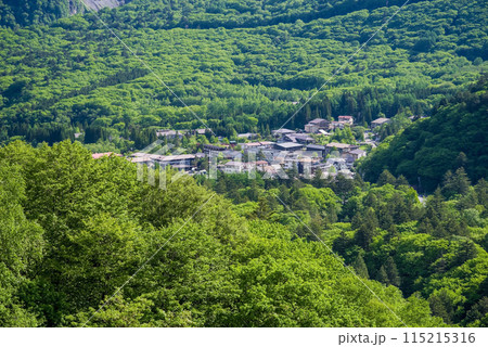 【新緑の中の平湯温泉街】R158平湯トンネル東出口付近の平湯峠からの眺望 115215316