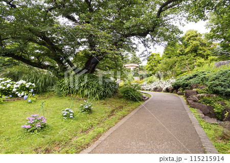 港の見える丘公園(横浜市イギリス館・山手111番館) 港の見える丘公園(横浜市イギリス館・山手111番館) 115215914