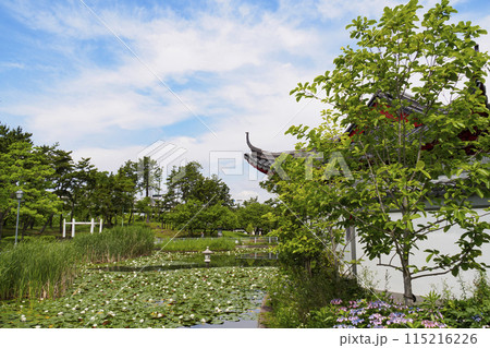 神奈川県横浜市中区本牧市民公園の横浜上海友好園 神奈川県横浜市中区本牧市民公園の横浜上海友好園 115216226