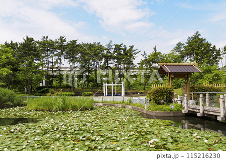 神奈川県横浜市中区本牧市民公園の横浜上海友好園 115216230