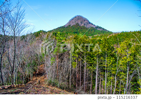仙台市 太白山自然観察の森　みはらしの道から見上げる太白山 115216337