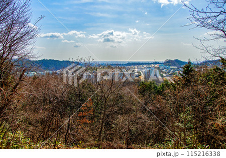 仙台市 太白山自然観察の森　みはらしの道から見渡す市街と太平洋 115216338