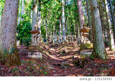 杜の都仙台 生出森八幡神社 本宮 灯籠 杜の都仙台 生出森八幡神社 本宮 灯籠 115216341