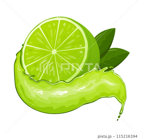 Fresh lime set, with various view of whole lime fruit, halves and slices. 115216394