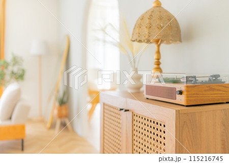 おしゃれな部屋 おしゃれな部屋 115216745