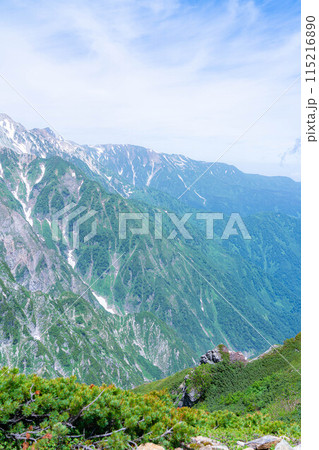 【山岳素材】夏の唐松岳・登山風景【長野県】 115216890