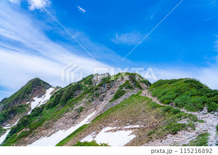 【山岳素材】夏の唐松岳・登山風景【長野県】 115216892