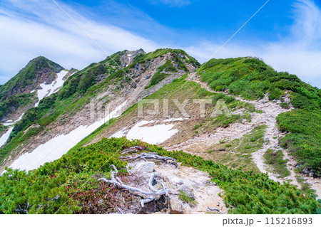【山岳素材】夏の唐松岳・登山風景【長野県】 115216893