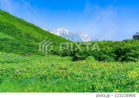 【山岳素材】夏の唐松岳・登山風景【長野県】 【山岳素材】夏の唐松岳・登山風景【長野県】 115216908