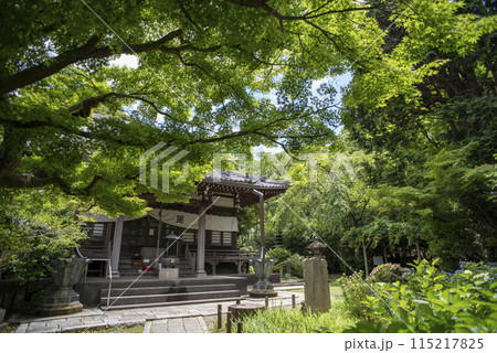 鎌倉245 安国論寺8 鎌倉245 安国論寺8 115217825