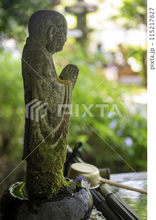 鎌倉245 安国論寺10 紫陽花 鎌倉245 安国論寺10 紫陽花 115217827