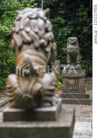 鎌倉245 甘縄神社4 狛犬 鎌倉245 甘縄神社4 狛犬 115217958