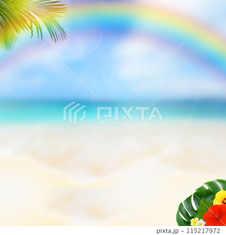 南国の海をイメージした背景素材 南国の海をイメージした背景素材 115217972