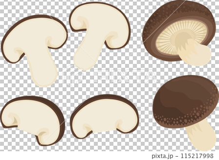 Shiitake illustration set 115217998