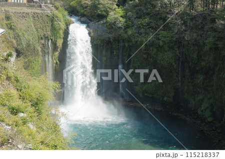 富士山　白糸の滝　音止の滝　富士宮市　絶景スポット 115218337