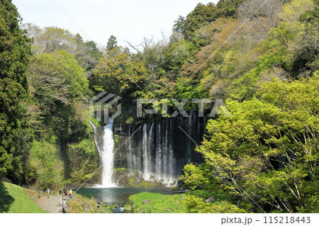 富士山 白糸の滝 富士宮市 絶景スポット 富士山 白糸の滝 富士宮市 絶景スポット 115218443