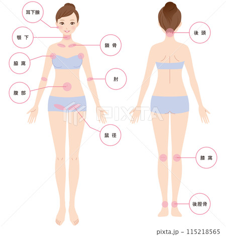 リンパ節の説明図　リンパマッサージ 115218565