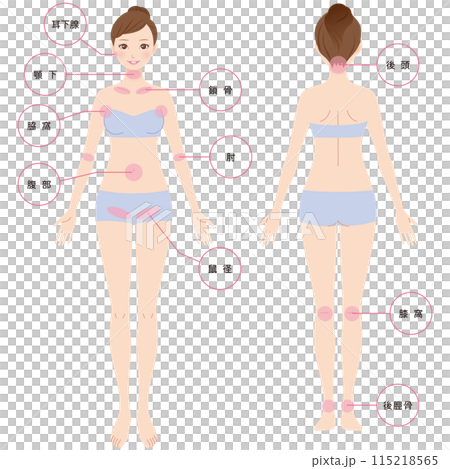 リンパ節の説明図　リンパマッサージ 115218565
