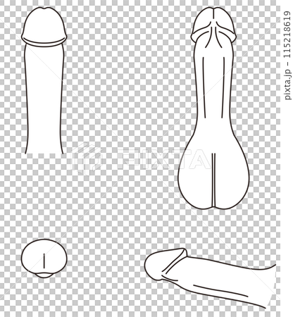 Diagram of the male reproductive system Medical 115218619