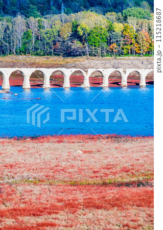 北海道 秋のタウシュベツ川橋梁 ~タウシュベツ展望台から~ 北海道 秋のタウシュベツ川橋梁 ~タウシュベツ展望台から~ 115218687